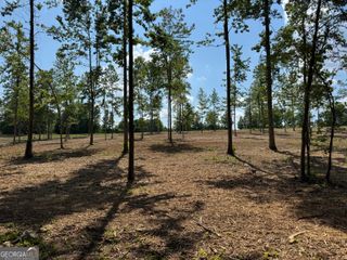 LOT 3 Happy Hollow Road, Roopville, GA 30170