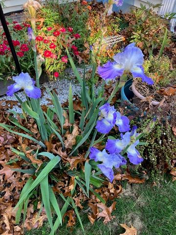 155 Brook St, Hudson, MA 01749