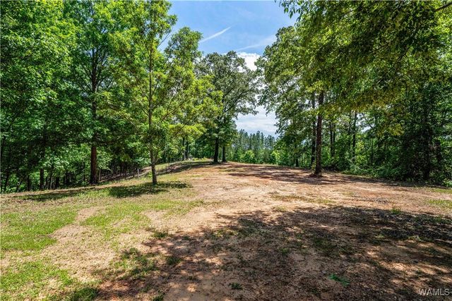 15293-A Watermelon, Tuscaloosa, AL 35406