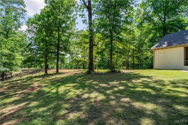 15293-A Watermelon, Tuscaloosa, AL 35406