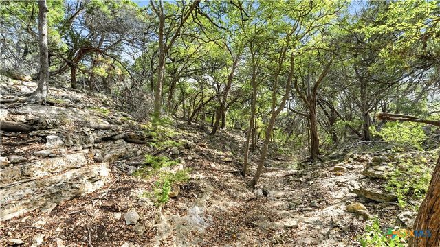 1013 Napoli, New Braunfels, TX 78132