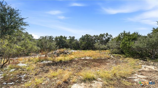 1013 Napoli, New Braunfels, TX 78132