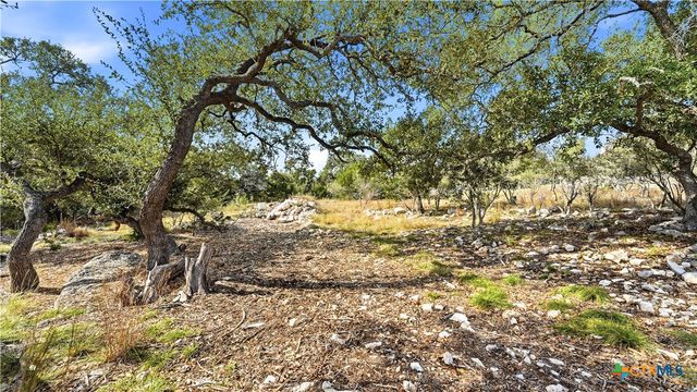 1013 Napoli, New Braunfels, TX 78132