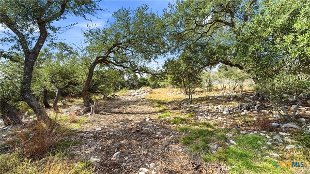 1013 Napoli, New Braunfels, TX 78132