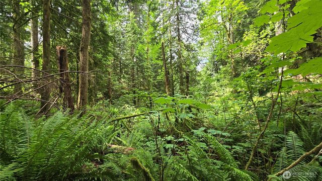 273 XX SE 150th Street, Issaquah, WA 98027