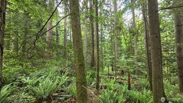 273 XX SE 150th Street, Issaquah, WA 98027