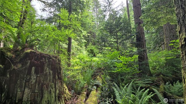 273 XX SE 150th Street, Issaquah, WA 98027