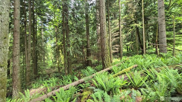 273 XX SE 150th Street, Issaquah, WA 98027