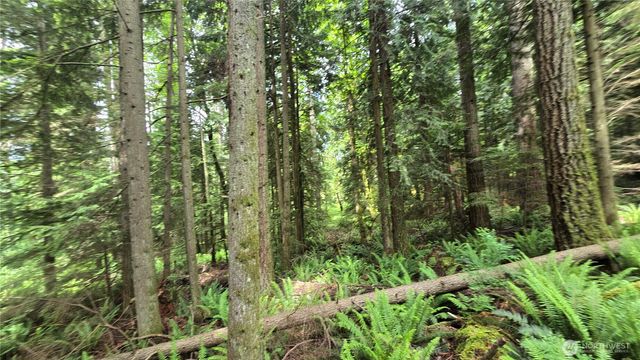 273 XX SE 150th Street, Issaquah, WA 98027