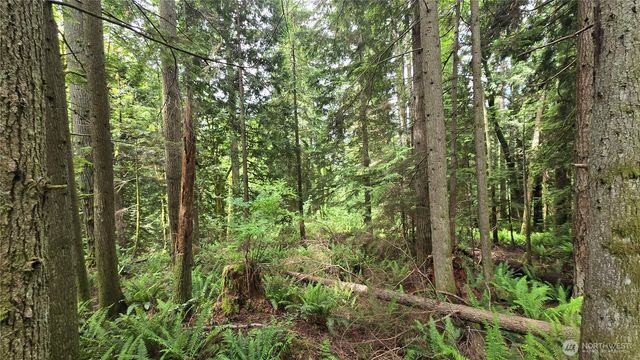 273 XX SE 150th Street, Issaquah, WA 98027