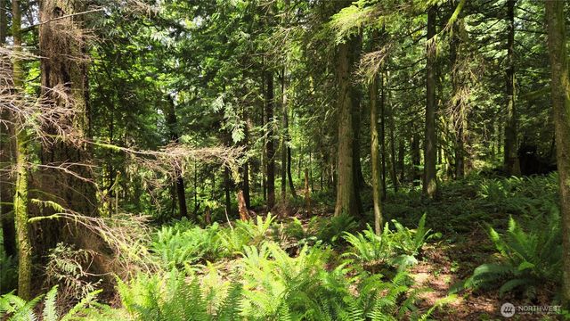273 XX SE 150th Street, Issaquah, WA 98027