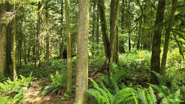 273 XX SE 150th Street, Issaquah, WA 98027