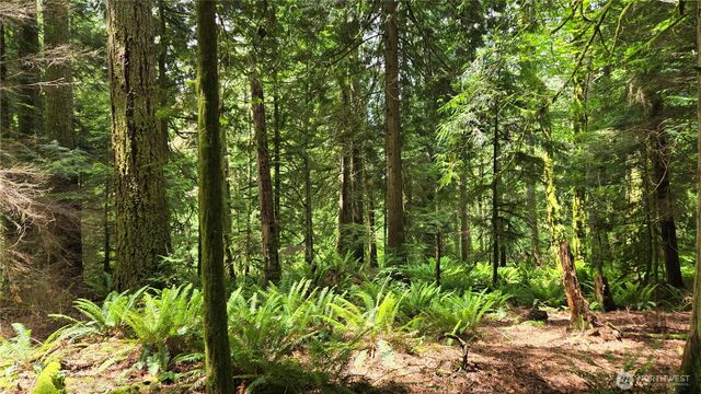 273 XX SE 150th Street, Issaquah, WA 98027