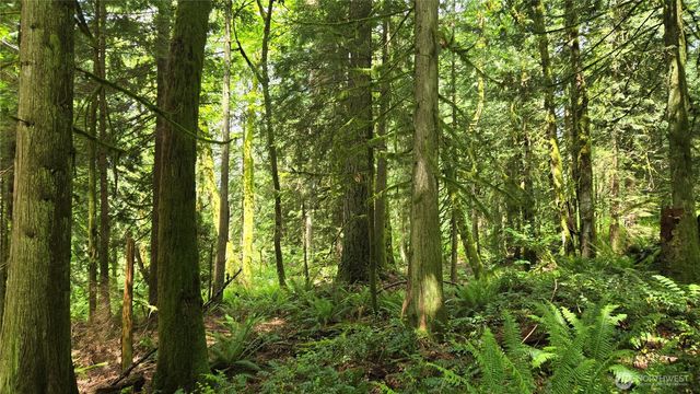 273 XX SE 150th Street, Issaquah, WA 98027