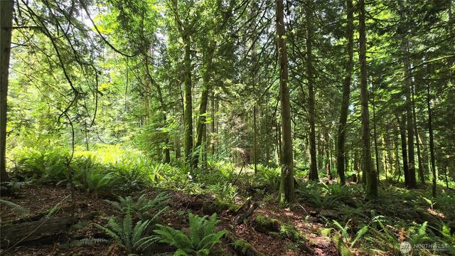 273 XX SE 150th Street, Issaquah, WA 98027