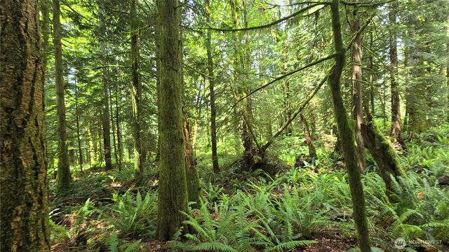 273 XX SE 150th Street, Issaquah, WA 98027