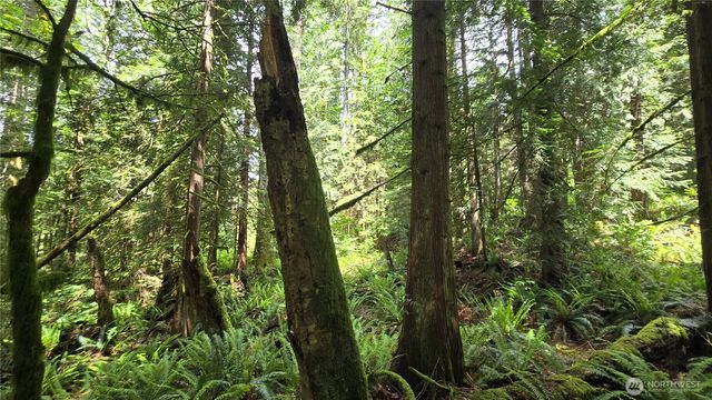 273 XX SE 150th Street, Issaquah, WA 98027
