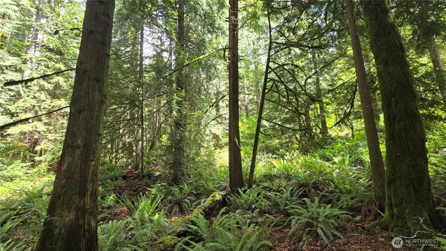 273 XX SE 150th Street, Issaquah, WA 98027