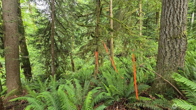 273 XX SE 150th Street, Issaquah, WA 98027
