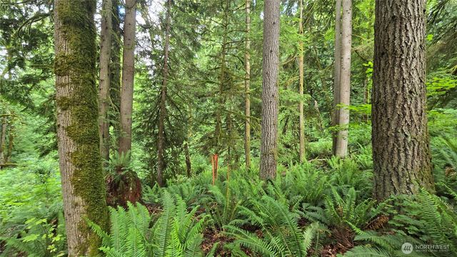 273 XX SE 150th Street, Issaquah, WA 98027