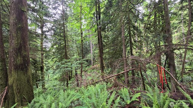 273 XX SE 150th Street, Issaquah, WA 98027
