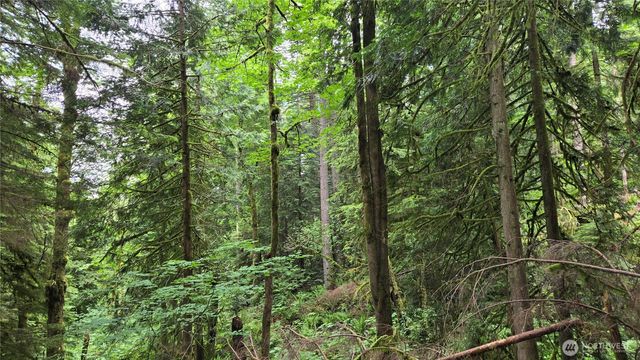 273 XX SE 150th Street, Issaquah, WA 98027