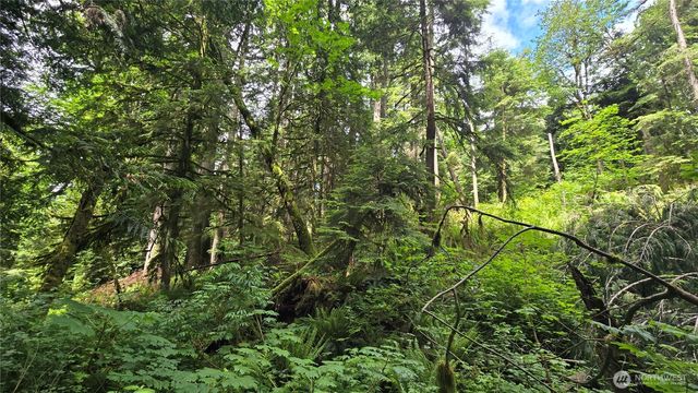 273 XX SE 150th Street, Issaquah, WA 98027