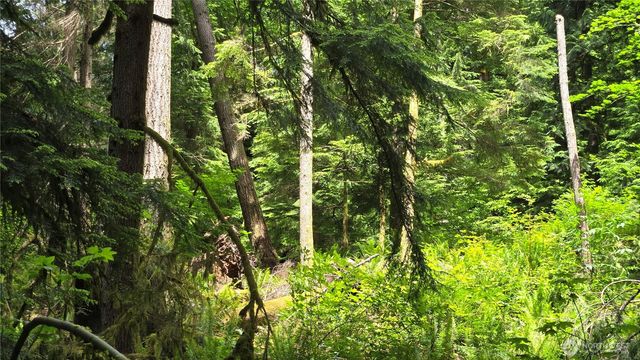 273 XX SE 150th Street, Issaquah, WA 98027