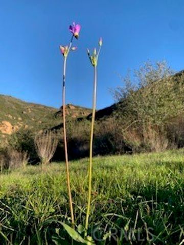 32797 Mulholland, Malibu, CA 90265