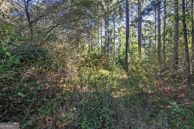 0 Rest Haven Road, Yatesville, GA 31097