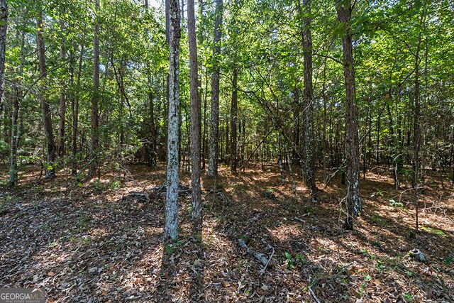 0 Rest Haven Road, Yatesville, GA 31097