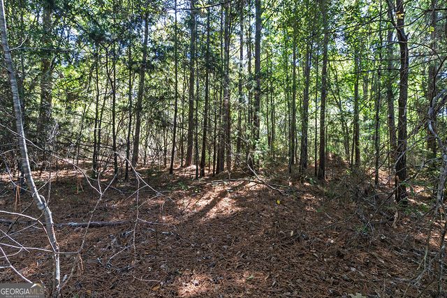 0 Rest Haven Road, Yatesville, GA 31097