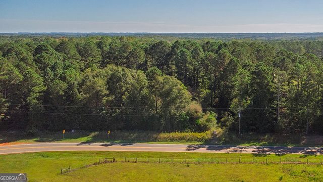 0 Rest Haven Road, Yatesville, GA 31097