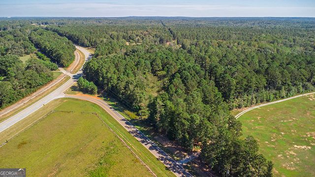 0 Rest Haven Road, Yatesville, GA 31097