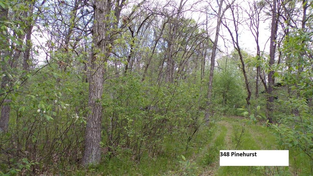 349 Pinehurst Drive, Nekoosa, WI 54457