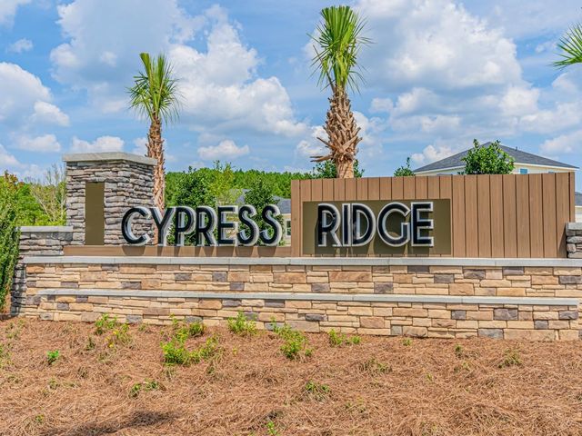 690 Cypress Preserve Circle, Longs, SC 29568