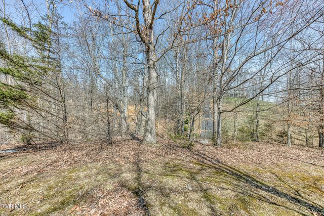 107 Asher Court, Elizabethton, TN 37643