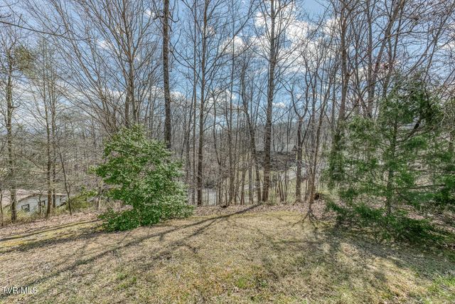 107 Asher Court, Elizabethton, TN 37643