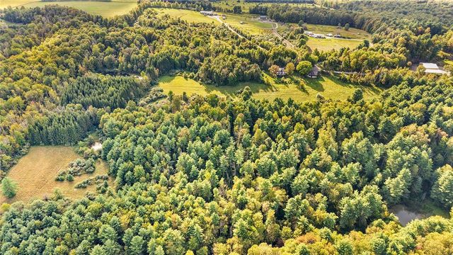 416 Mccoy Road, Nichols, NY 13812