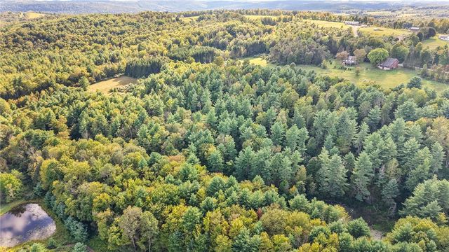 416 Mccoy Road, Nichols, NY 13812