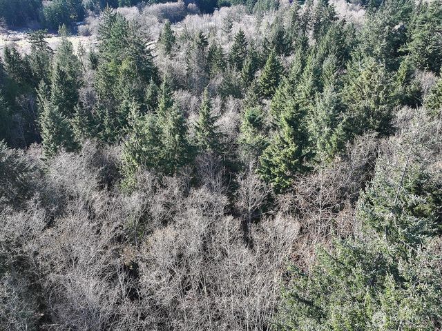 0 xxx SR 525, Langley, WA 98260