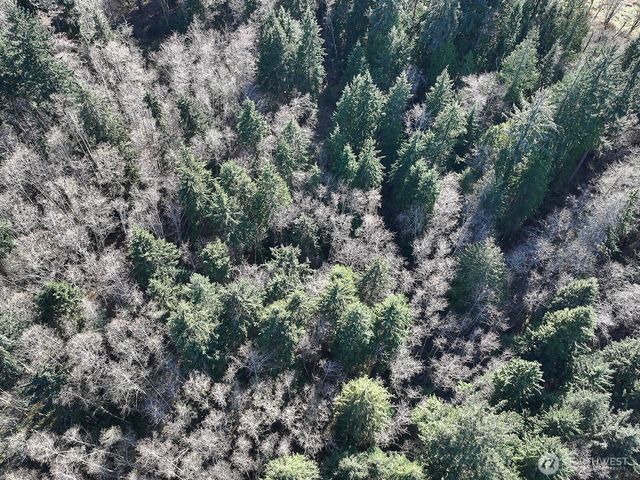 0 xxx SR 525, Langley, WA 98260
