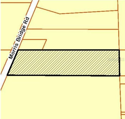 1 THONOTOSASSA, Thonotosassa, FL 33592