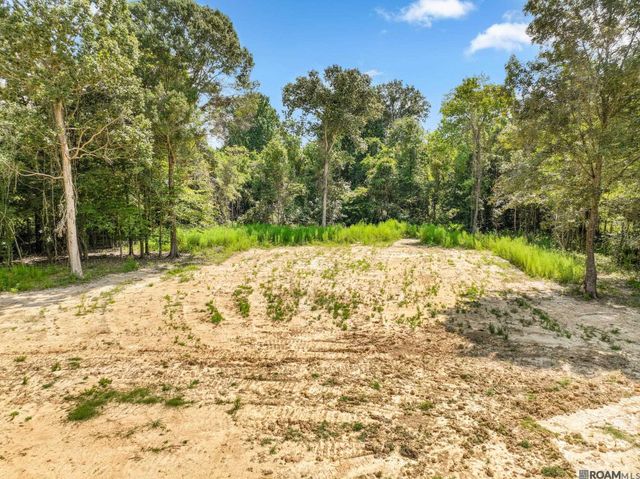 8148 Washington Ln, Central, LA 70739