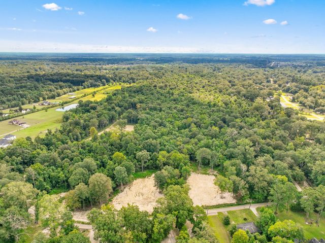 8148 Washington Ln, Central, LA 70739