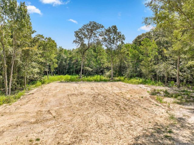 8148 Washington Ln, Central, LA 70739