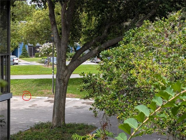 2439 OAK PARK WAY 217, Orlando, FL 32822