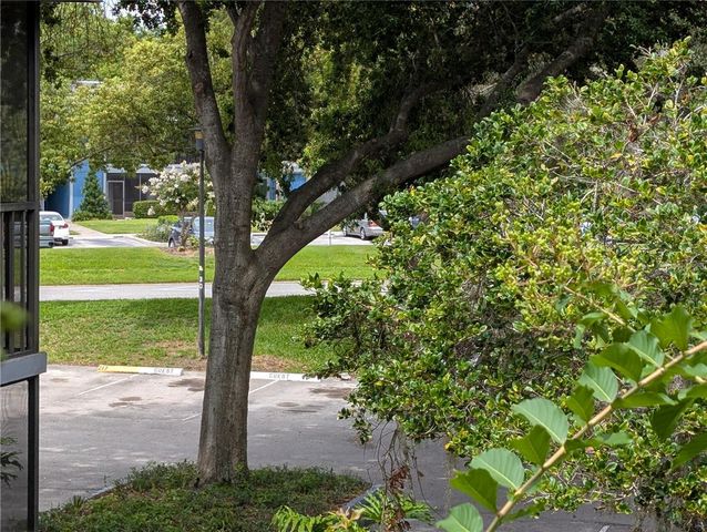 2439 OAK PARK WAY 217, Orlando, FL 32822