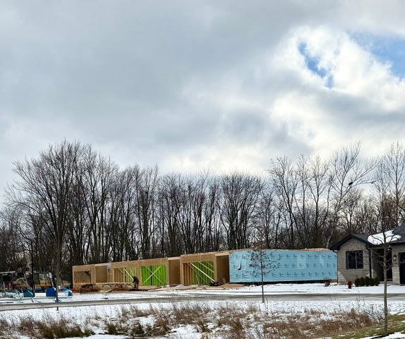 11317 1st Street, Mokena, IL 60448