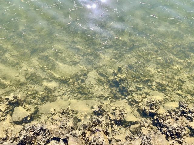 4678 MARINE PARKWAY 305, New Port Richey, FL 34652